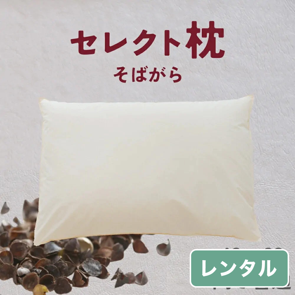 セレクト枕  そばがら 標準形【レンタル専用】