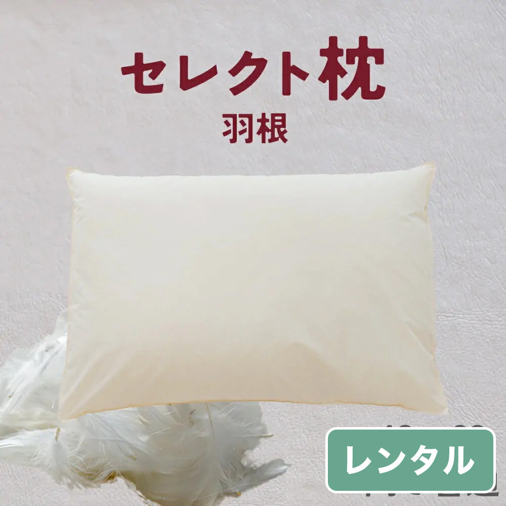 セレクト枕  羽根 標準形【レンタル専用】