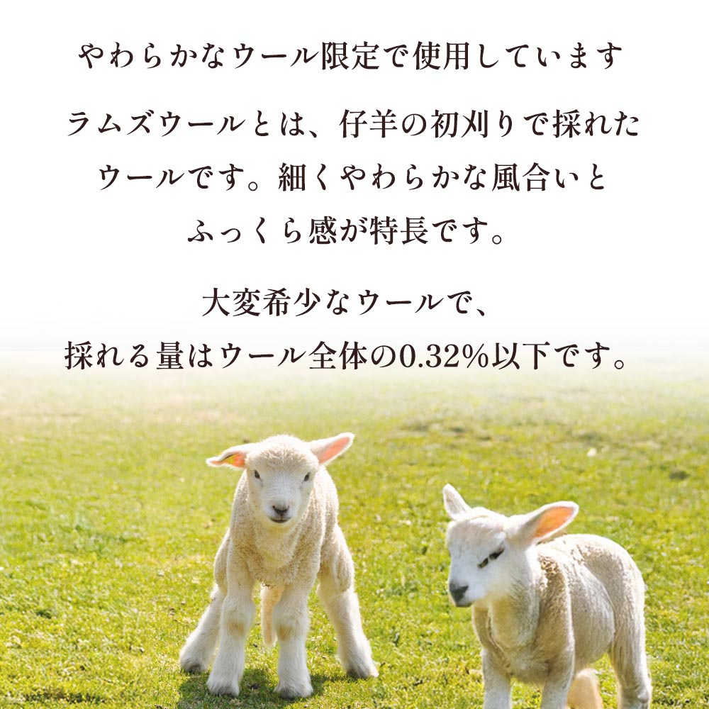 Sofwool Apparel ウールのルームブーツ