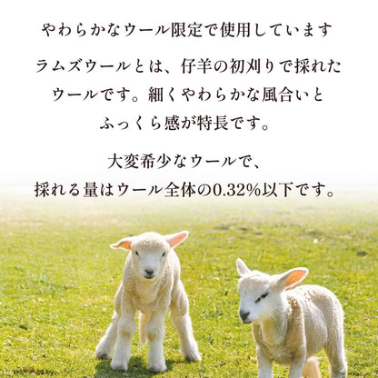 Sofwool Apparel ウールのルームブーツ
