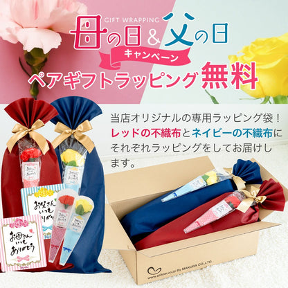 王様の足枕 ペアギフトセット