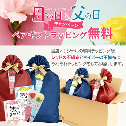 王様の腰枕 ペアギフトセット