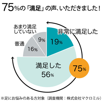 エアロフロー足まくら