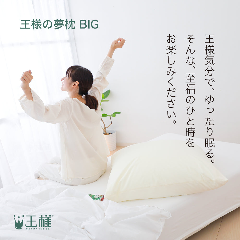 王様の夢枕 BIG 背中から頭まで支えるゆったりBIGサイズの安眠枕 – 枕