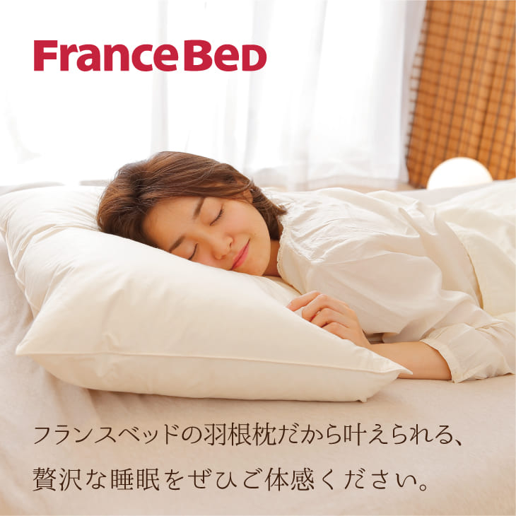 フランスベッド フェザーピロー – 枕と眠りのおやすみショップ！本店